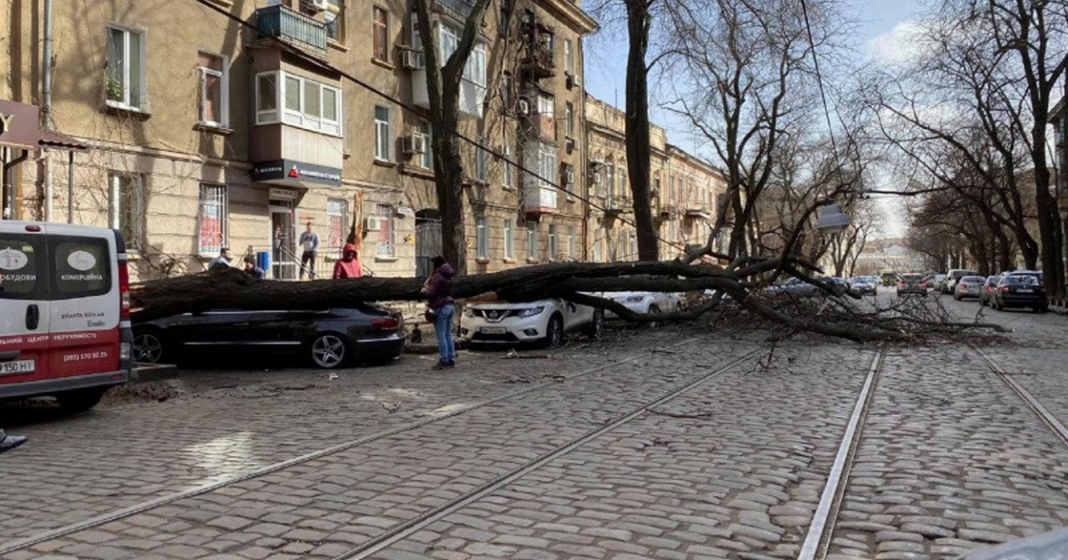 Непогода 24 февраля: сегодня по улицам городов опасно перемещаться - ветер валит деревья и срывает крыши домов - ситуация в Украине