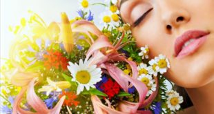 Скоро 8 марта: какие цветы дарить женщине по ее знаку Зодиака в гороскопе?