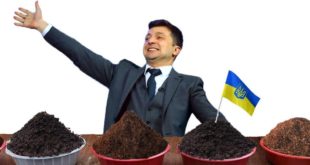 Ночью Верховная Рада разрешила продажу украинской земли: "За" голосовали "Слуги", "Голос", "ЕС" и группа "Довира"
