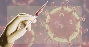 Тотальная вакцинация БЦЖ от туберкулеза снижает смертность от коронавируса в масштабе страны: предположение медиков