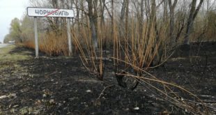 Пожар в Чернобыльской зоне тушат уже 1000 спасателей, воду сбрасывают с самолетов и вертолетов, - ГСЧС