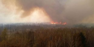 ВИДЕО: "Земля объята огнем", - пожарные показали жуткие кадры пожара в Чернобыльской зоне отчуждения