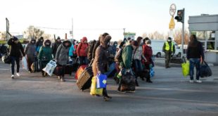 Польша планирует запустить чартерные рейсы, чтобы завезти украинских заробитчан на сбор урожая: рабочих рук не хватает