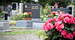 Можно ли будет посещать кладбища в поминальные дни во время карантина? - официальная информация от властей