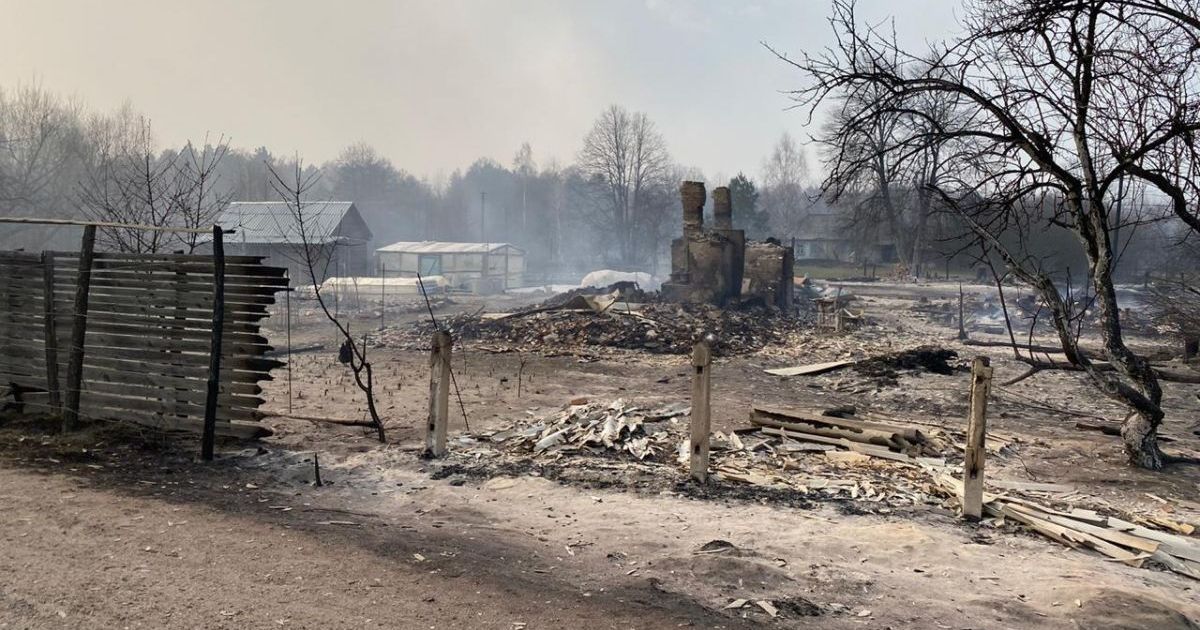 В Житомирской области в двух селах из-за лесных пожаров сгорели 38 домов и 49 нежилых построек