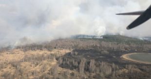 В Чернобыльской зоне пожар: горит 20 гектаров леса - тушат его с помощью авиации и большого количества техники