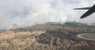 В Чернобыльской зоне пожар: горит 20 гектаров леса - тушат его с помощью авиации и большого количества техники