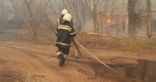 Потухло ненадолго: "Под Чернобылем снова горит лес", - Ярослав Емельяненко из Госагентства по управлению зоной отчуждения