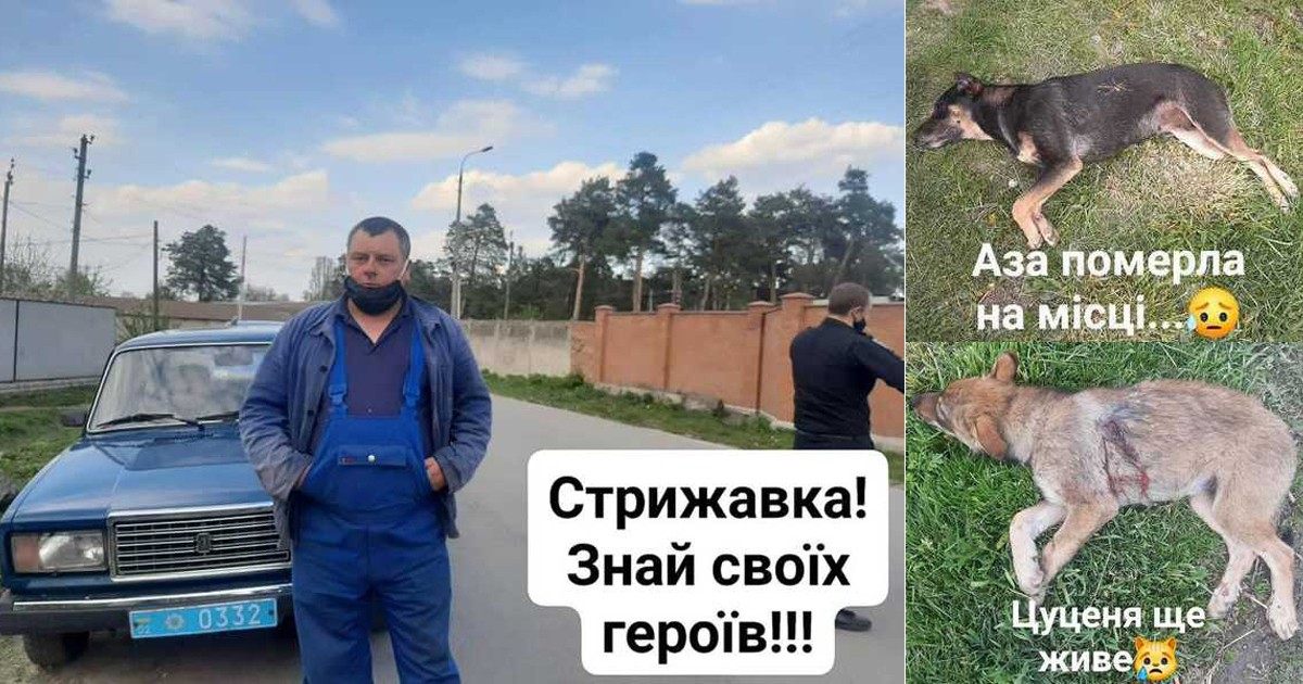 В Винницкой области мужчина жестоко убил собаку и покалечил ее щенка, которые забрели к нему во двор