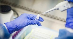 Хватит на всех: Украина скоро начнет производство собственных тестов для обнаружения коронавируса, - сообщение Минздрава