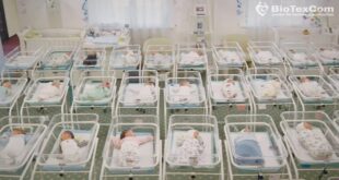 В Киеве в одном из отелей находится почти 50 младенцев, рожденных суррогатными матерями для иностранцев