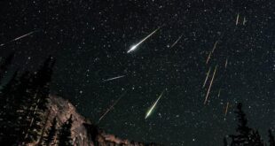 В ночь на 6 мая можно будет увидеть самый яркий звездный дождь в году - метеорный поток Эта-Аквариды: где и когда смотреть?