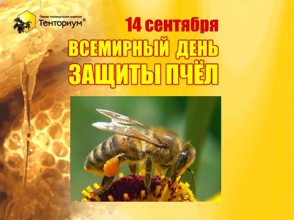 14 сентября - День защиты пчел