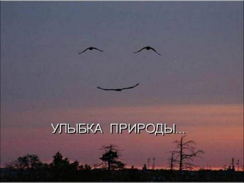 Красивые открытки с улыбками ко Дню улыбки