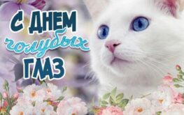 С Днем голубых глаз! - картинки, фото: милый, добрый, нежный, пушистый голубоглазый котёнок