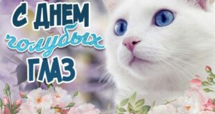 С Днем голубых глаз! - картинки, фото: милый, добрый, нежный, пушистый голубоглазый котёнок