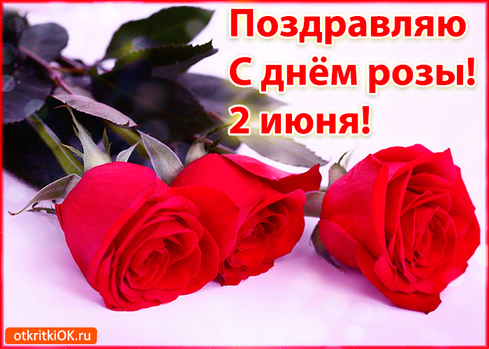 2 июня - День роз - красивые открытки, анимация, фото