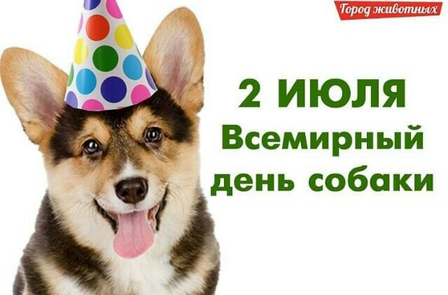 День собаки 2 июля картинки - Международный день собак