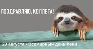 20 августа - Всемирный день лени: история и традиции, картинки и поздравления с праздником