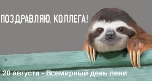 20 августа - Всемирный день лени: история и традиции, картинки и поздравления с праздником