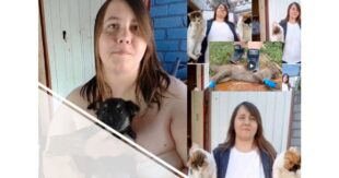 Жестоко убивала животных на камеру и распространяла порнографию: живодерке из Запорожья огласили подозрение