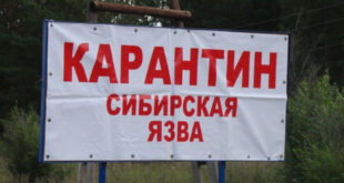 В Одесской области обнаружили больного сибирской язвой: мужчина занимался покупкой и продажей домашних животных