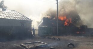 В Харьковской области полностью сгорело село: масштабный лесной пожар уже распространился на 400 гектаров