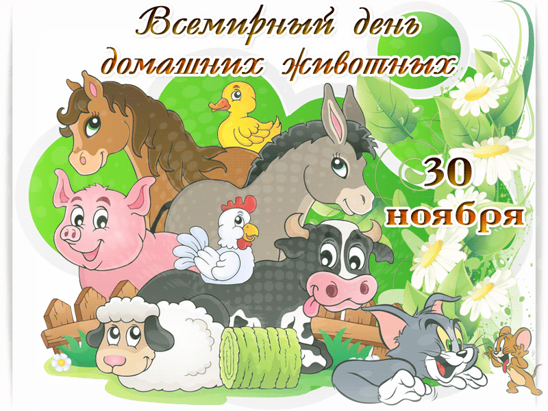 Красивые открытки с Днем домашних животных