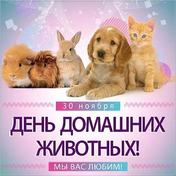 Всемирный день домашних животных поздравления 30 ноября