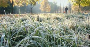 Украину начинает засыпать снегом, морозы будут даже днем: ​​прогноз погоды на 16 ноября 2020