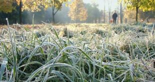 Украину начинает засыпать снегом, морозы будут даже днем: ​​прогноз погоды на 16 ноября 2020
