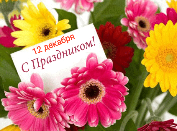 12 ДЕКАБРЯ – Какой сегодня праздник – Поздравить с праздником 12.12.: картинки, открытки, поздравления, пожелания