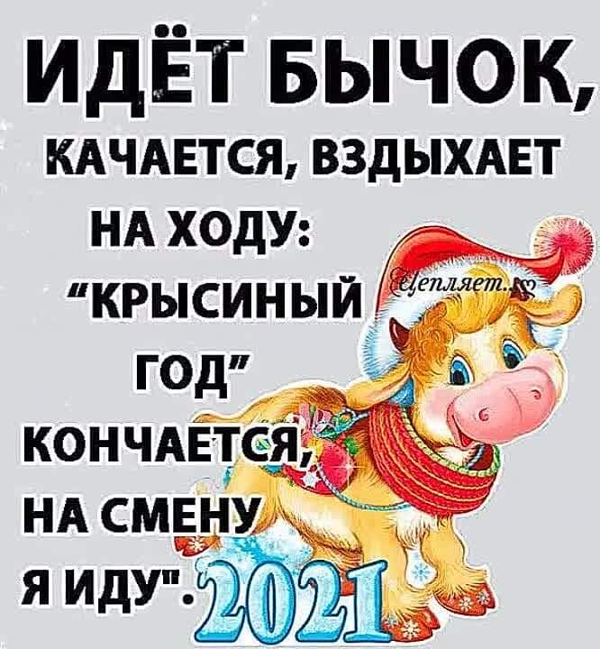 Поздравление от Быка с Новым годом	 прикольное в картинках - Поздравления с Новым годом 2021 с изображением Быка, короткие стихи, проза