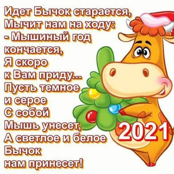 Новый год 2021 картинки - Год Быка: поздравительные открытки с Новым годом 2021 - Оригинальные поздравления с Новым годом в прозе и стихах