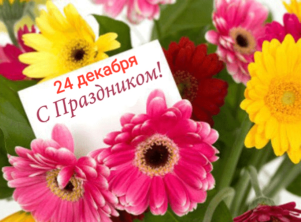 24 ДЕКАБРЯ – Какой сегодня праздник – Поздравить с праздником 24.12., четверг: картинки, открытки, поздравления, пожелания