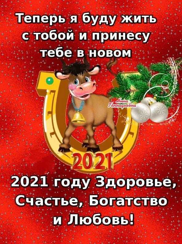 Поздравления с Новым 2021 годом новогодние с годом Быка: открытки, картинки, фото - Короткое красивое поздравление с Новым 2021 годом Быка своими словами