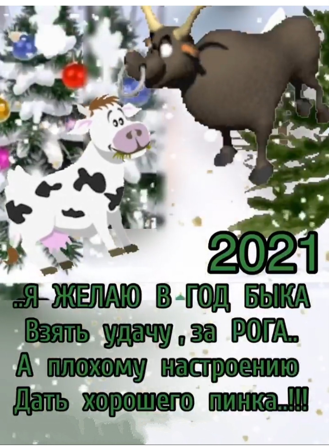 Поздравление от Быка с Новым годом прикольное в картинках - Поздравления с Новым годом 2021 с изображением Быка, короткие стихи, проза