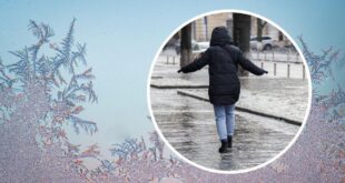 +11, гололедица и туман: погода в Украине 14 декабря продолжит удивлять аномалиями - Прогноз погоды на 14 декабря