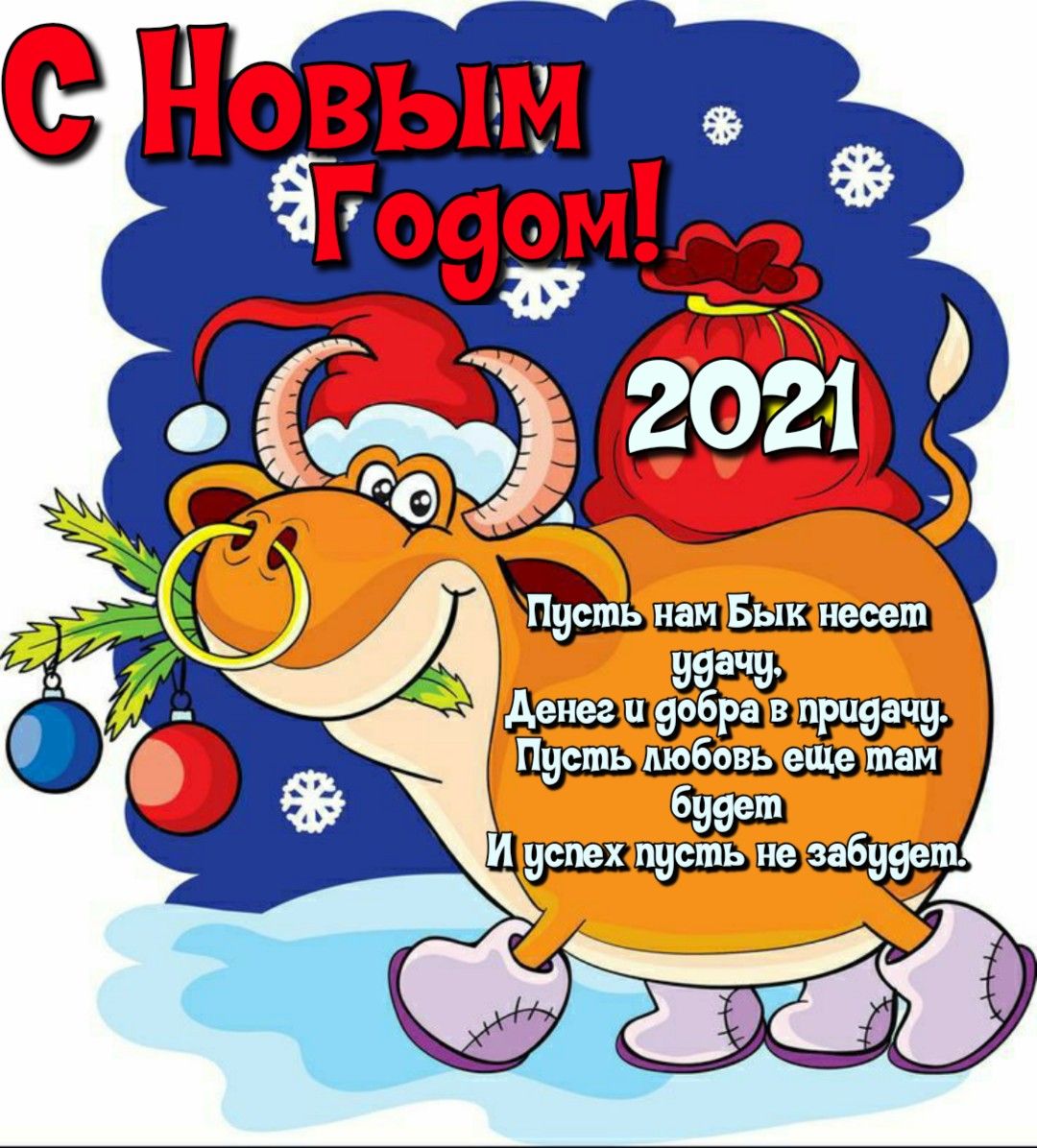 Новогодние статусы про год Быка в картинках - Поздравления с наступающим Новым 2021 годом годом Быка смешные шуточные - Стихи про Новый год Быка
