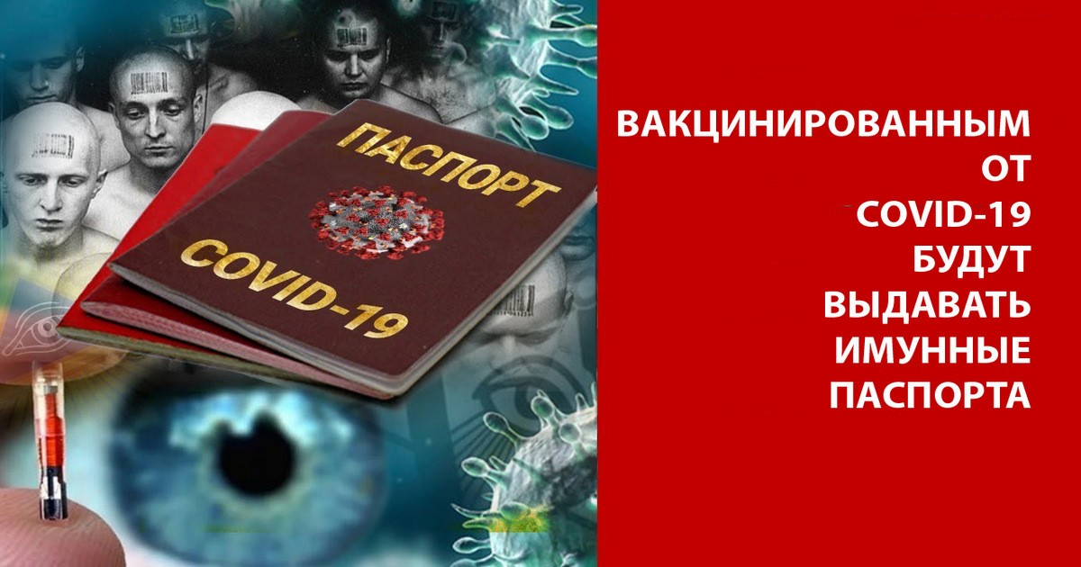 ВИДЕО: "Будут получать так же и граждане Украины": Степанов сделал заявление о COVID-паспортах для украинцев