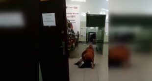 ВИДЕО: В Одессе женщина с гипсом выползала из больницы на четвереньках- "А что мне остаётся делать?"
