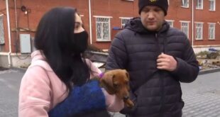ВИДЕО: В Виннице таксист с коллегами избили пассажиров из-за двухмесячной собаки в салоне