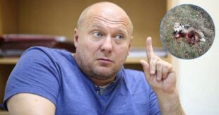Безнаказанно убил сотни бездомных животных: суд оправдал догхантера Алексея Святогора