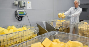 Украину заполонил поддельный сыр: как отличить фальсификат от настоящего молочного продукта?