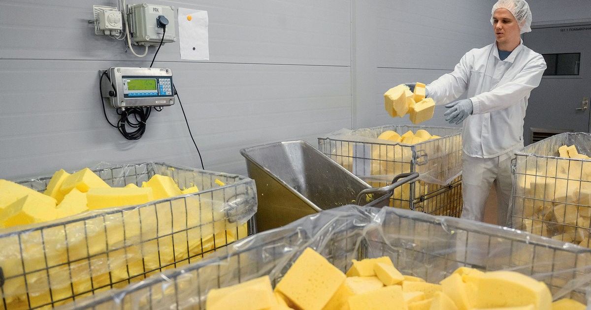 Украину заполонил поддельный сыр: как отличить фальсификат  от настоящего молочного продукта?