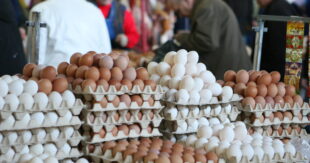 Цены на яйца в Украине поднимутся еще больше: стало известно, на сколько подорожает ожидает популярный продукт?
