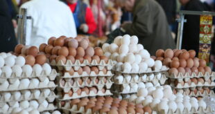 Цены на яйца в Украине поднимутся еще больше: стало известно, на сколько подорожает ожидает популярный продукт?
