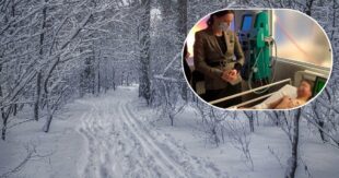 ЖУТКИЕ ПОДРОБНОСТИ!!! Верующая мать завела малышей в лес, раздела догола и бросила умирать на морозе: двухлетний мальчик в коме