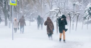 10 февраля снегопады не отступят и добавятся дожди: украинцев предупредили о новом погодном коллапсе
