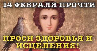 14 февраля православный праздник День Трифона: что можно и нельзя делать в этот день, традиции, народные приметы